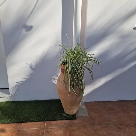 Villa Mammi *